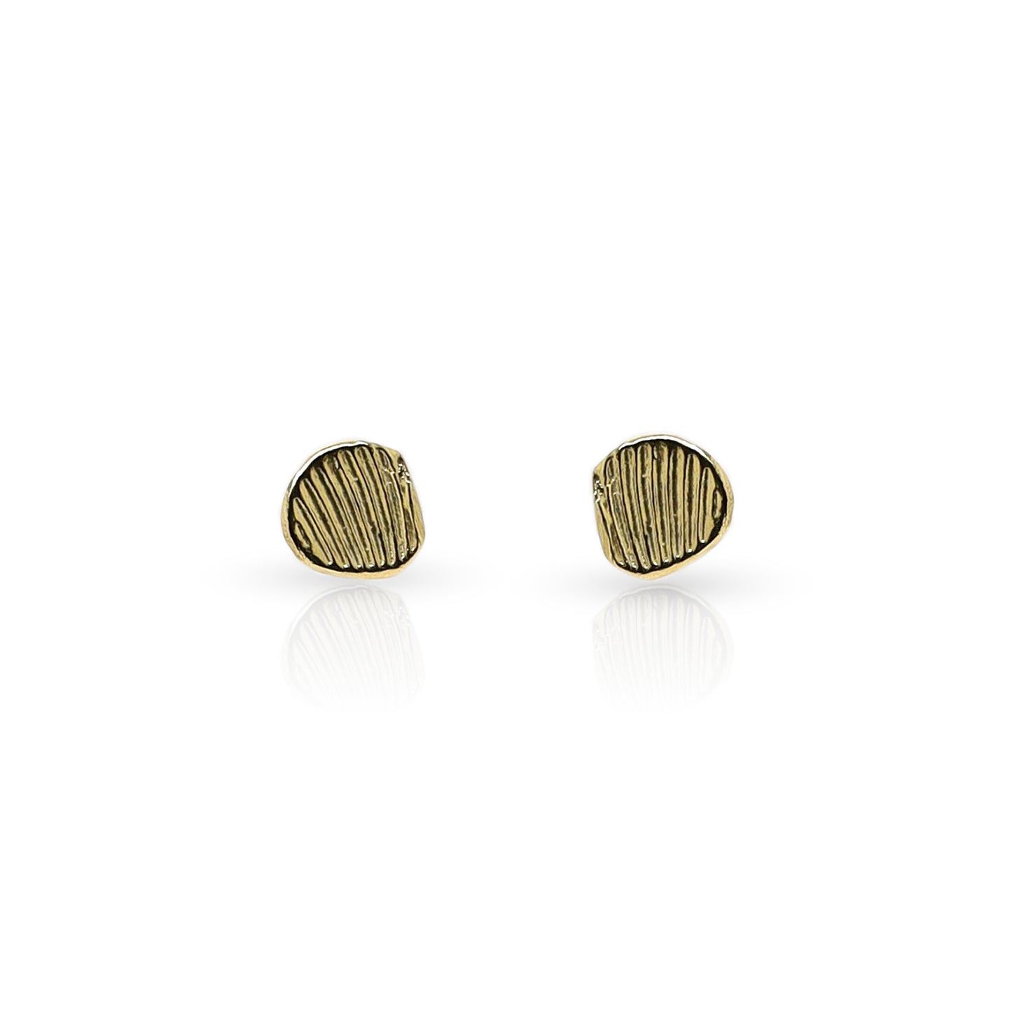 Shell Stud Earrings