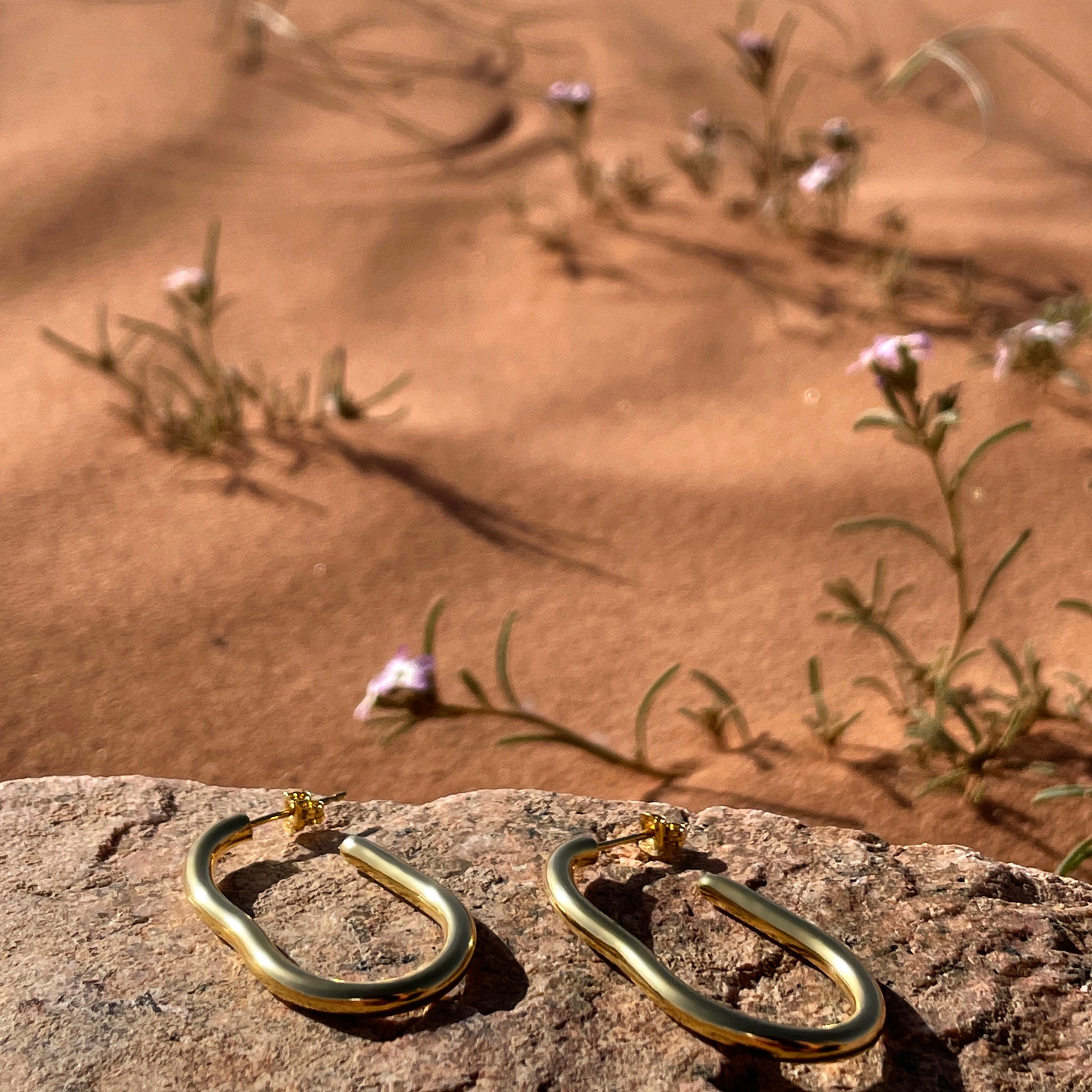 Large gold organic shape hoop earrings laying on a rock in the foreground with terracotta sand in the background and desert flowers. 